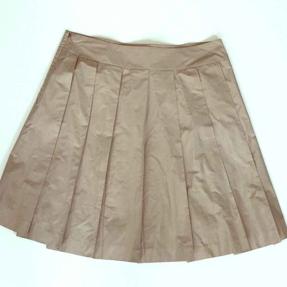Ann Taylor skirt